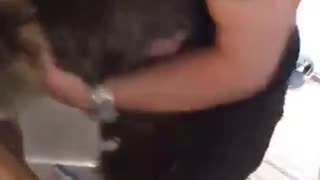 What Did She Do To This Poor Cat