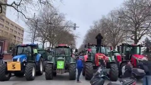 The Dutch farmers have arrived in Brussels to crash the green agenda