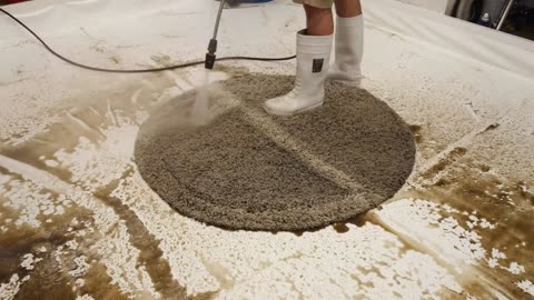 SATISFYING I ASMR Clean Dirty Rugs