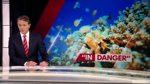 United Nations recommends Great Barrier Reef be classed as 'in danger' _ 7NEWS