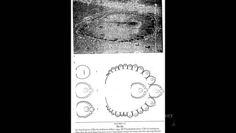 ***Ep12. Historians CAN'T BELIEVE how Africans found the secret of Math***