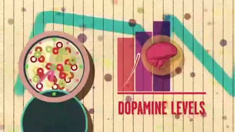 Humans become addicted to sugar because of the release of dopamine
