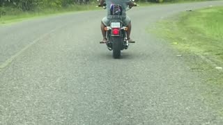Chicken Rides a Motorcycle