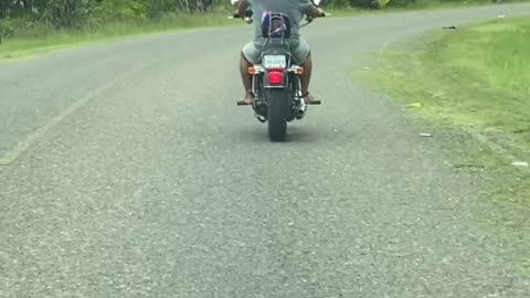 Chicken Rides a Motorcycle
