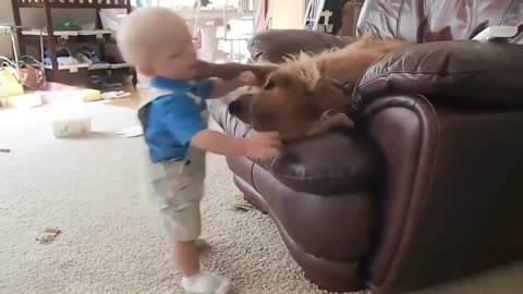 Pet Compilation Funniest Kids I New Funny Video 2024 I Kidsthings