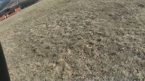 Dust Devil Catches Paraglider