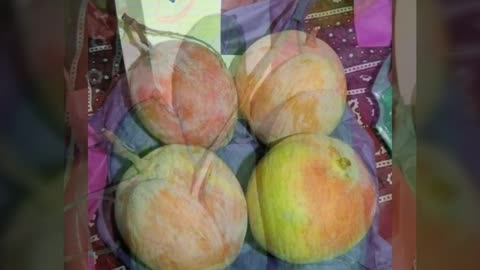 Different Types Mangoes & Its Names In Urdu