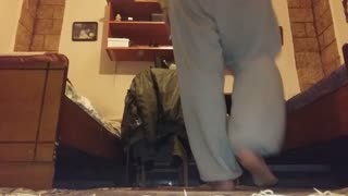 My dog jump from one bed to other (other side cam)
