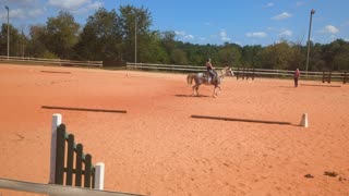 Nancy, western dressage