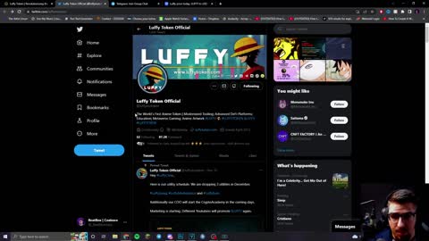 Is "LUFFY TOKEN" Going to Lose It?