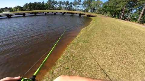 Fishing for GIANT Bass w/ Topwater in SMALL Ponds (LOADED)