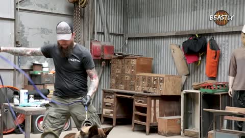 Dog Training World’s Toughest Police Dogs