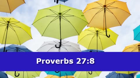 1 Minute -- Proverbs 27 Devotional -- April 27, 2023