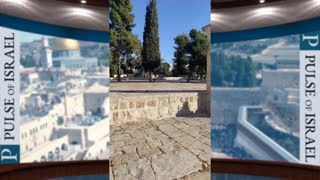 Ascending the Temple Mount on the Holiday of Sukkot As Our Ancestors Once Did