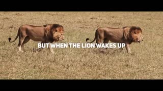 Lion Mentality | "WHAT IF?" Motivational Speech