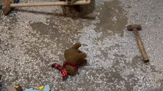 Becky the Beaver Helps Remodel her Beaver Room