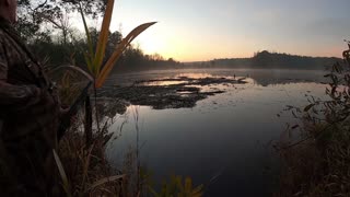 Early Morning Duck Hunt