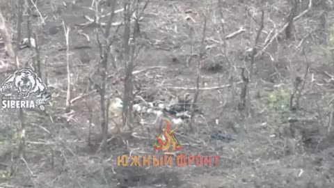 Kamikaze Drone Attacks AFU Personnel Near Belogorovka