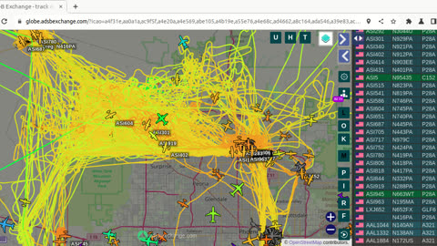 Bird NaziPac China - stuck in gang bang mode over Phoenix Residents - Feb 26th 2024