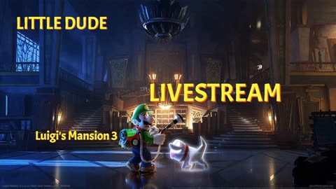 Luigi Mansion 3, Little Dude good morning stream! (#25)