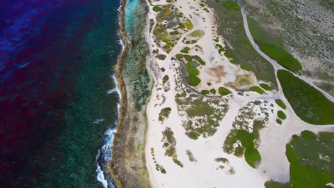 Island Shore Coast Drone Footage
