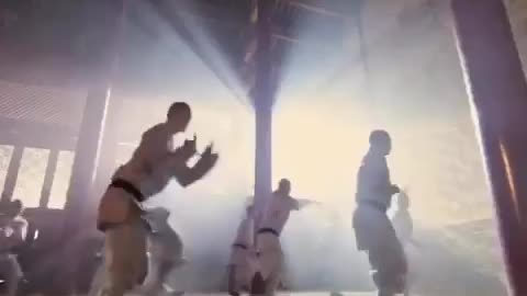 Shaolin Fights