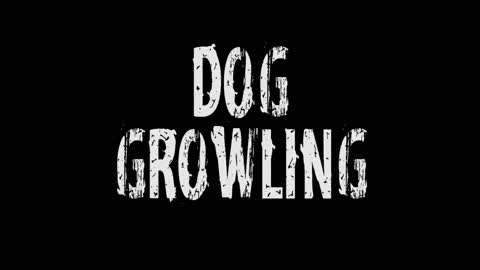 Dog Growling # Halloween Sound Effects