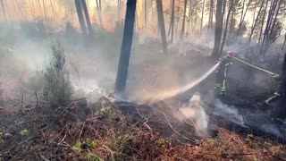 Firefighters battle wildfires in southern France