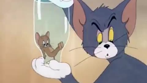 TOM and jerry