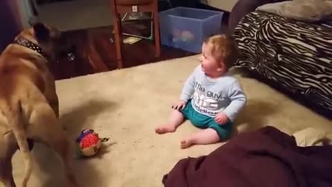 Baby laughing at dog & bubbles