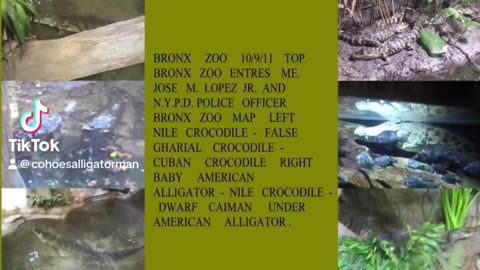 10/9/11 Last Times Visite Bronx Zoo Bronx , N.Y.C. Interested planning post my