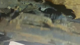 Mechanic Discovers Source of Car's Clunks