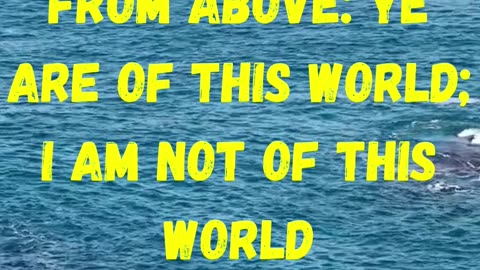 I am from above: ye are of this world; I am not of this world.