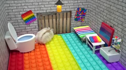 🐹 Hamster Escapes the Pop It Maze for Pets in real life 🐹 Homura Ham-2