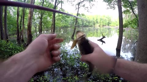 Bass Fishing With Babies