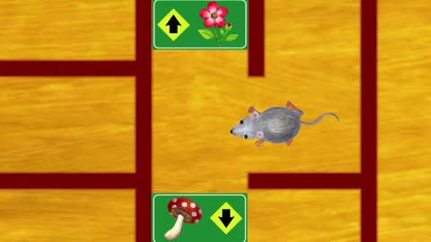Learn the ABCs in Lower-Case: "m" is for mouse and maze