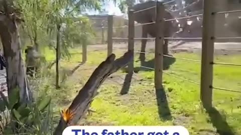 Guy Bring Newborn into Elephant Enclosure