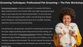 Grooming Techniques: Professional Pet Grooming — The Pets Workshop