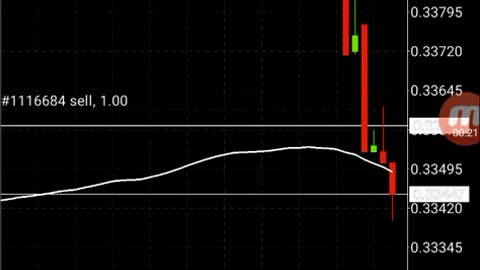 Scalping DOGECOIN on MetaTrader