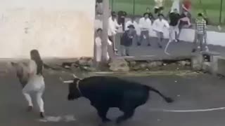 Bull hits woman