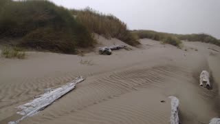 *Warning Loud Wind* Windy Day At A Beach In Oregon