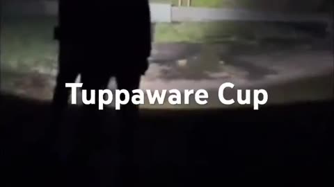 Tuppaware Cup 2024