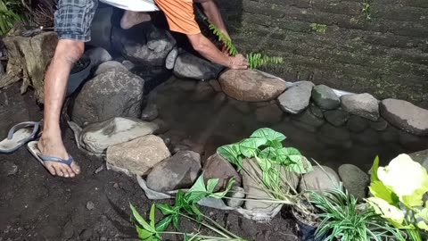 How to make a beautiful fish pond in a narrow yard