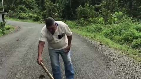 Men helps animal tu cross the road🥰🥰🙈
