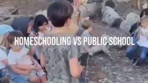 Homeschooling vs Public School