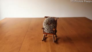 Prickly Pals Share Rocking Chair