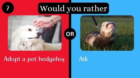 Would you rather. Animal edition.