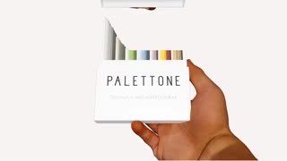 Get Inspired with Palettone's Premium Homogeneous Flooring Collection