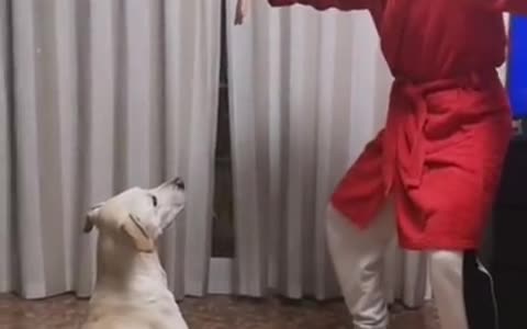 Curiquitaca Challenge With Dog • Dog Reaction