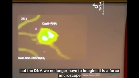 Real-time view how the protein contained in the Bio Weapon cuts the DNA